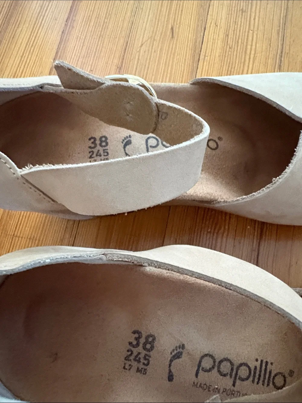 Papillio barely worn
